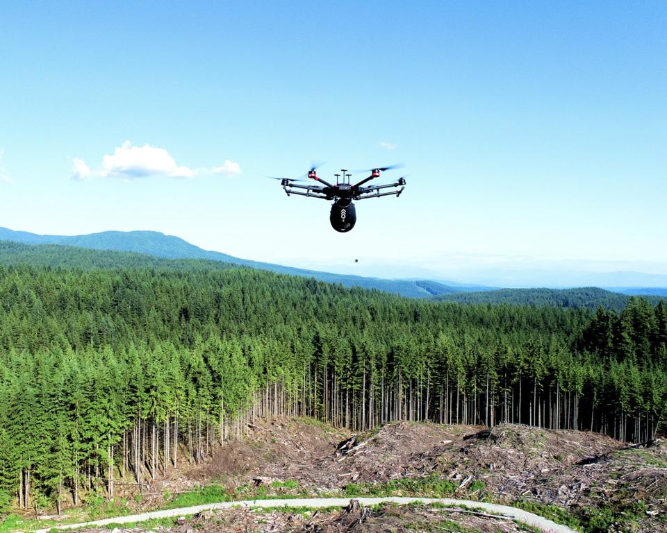 Drone Dapat Menghutankan Kembali Planet Bumi Lebih Cepat Daripada Manusia
